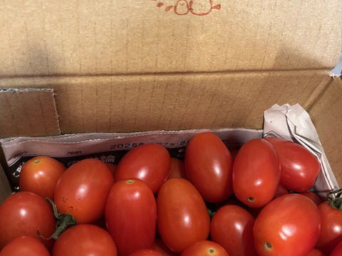 『訳ありA品・アイコ♪』1kg箱:ヘタあり・ヘタ無しランダム♪ちょうどいい酸味と甘味あり満足