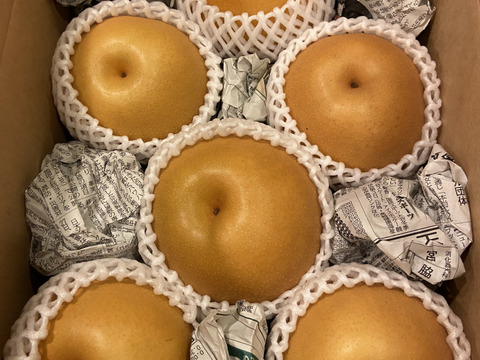 樹上完熟和梨「豊水」3kg【直送便】