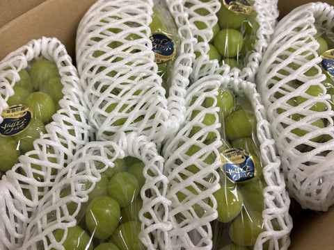 岡山県産シャインマスカット5房〜６房 　約3.5kg（大箱）