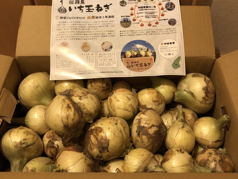 【訳あり】淡路島新玉ねぎ10kg【祝!3年連続金賞🏆】