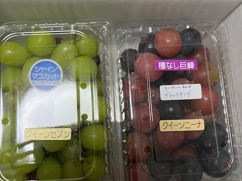 【品種MIX】お買い得♪ぶどうの切り落とし1.5kg