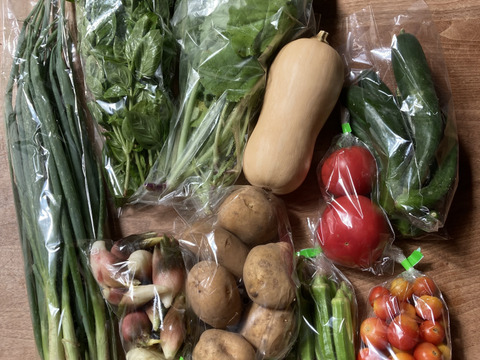 《自然栽培》夏秋　旬の手作り野菜セット【８種類くらい】