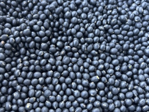 大人気新品  自然栽培】丹沢山麓の幻の黒千石大豆500g 農薬不使用・肥料不 果物