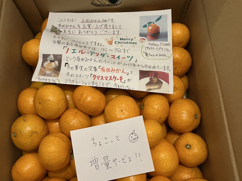 大割引 有田みかん【小粒小玉】5kg（箱込）：和歌山県産のみかん 果物