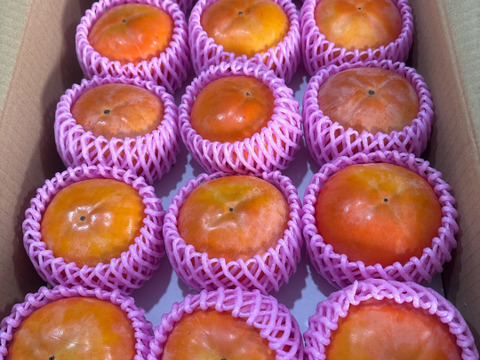 【柿の王】定番を極めた最高級の富有柿（5kg）熨斗対応可【冬ギフト】