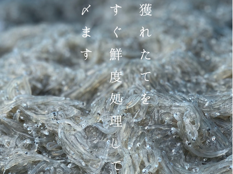 厳選★漁師めしセット-春-(５品目）×2セット