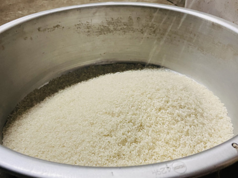 新米令和7年度産　岩手県産　一等米　いわてっこ　精米済み　米10キロ　農家直送