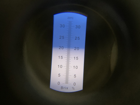 【訳あり】驚いた(*[]*)ﾅｯ!!ムーンルージュ 約3kg 家庭用
