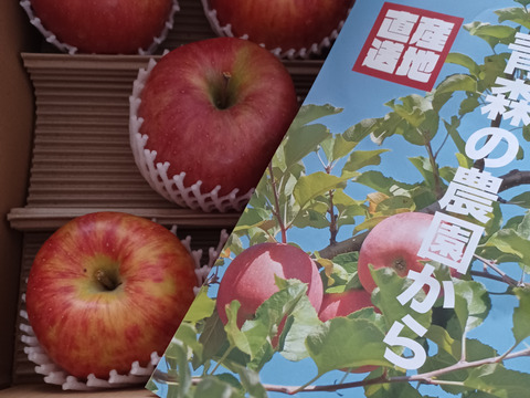 【完売】北斗 やさしい甘みの懐かしいりんご 2.5kg（5〜10玉）