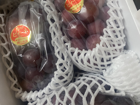 岡山県産ニューピオーネ約２Ｋｇ　化粧箱入り（3〜4房入り）