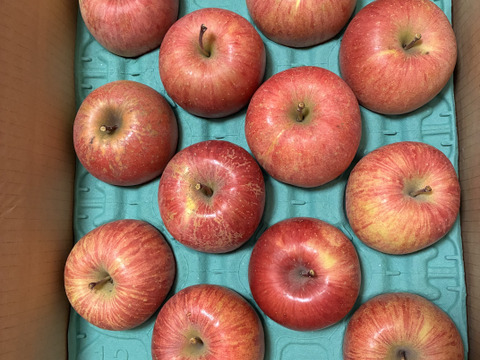 【個性溢れるりんごたち】『サンふじ』５キロ【１２〜２０玉入り】【家庭用】【訳あり】🍎山形りんご🍎