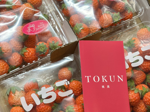 訳あり 小粒 高級いちご「桃薫」1000ｇ【トッピングなどに最適な小粒タイプ】 チルド ジャム用 加工用 イチゴ 苺 ジャム 加工 品種おまかせ 完熟 新鮮 お取り寄せ  自宅用 訳アリ わけあり
