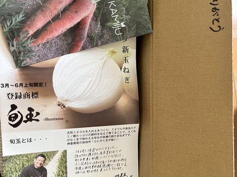 【満天☆青空レストランにでました】サラダ新玉ねぎ「旬玉」生がおいしい！秀品3㎏