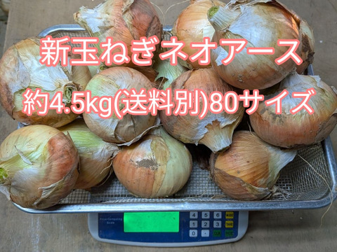 新玉ねぎ『約4.5kg』茨城県産品種は人気NO1ネオアース　【新鮮期間限定】