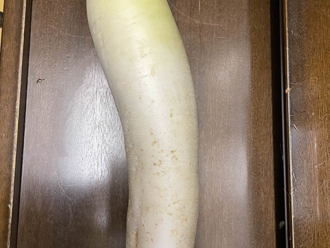 【規格外】肉質が緻密で純白!味が染みやすい三太郎大根（5kg）