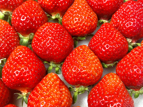 完熟あまおう!!特別栽培認証あまおう2Lタイプ 260g×2p