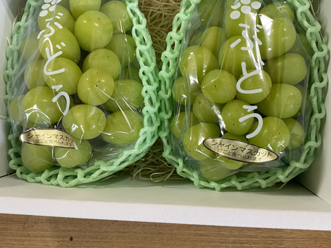 シャインマスカット