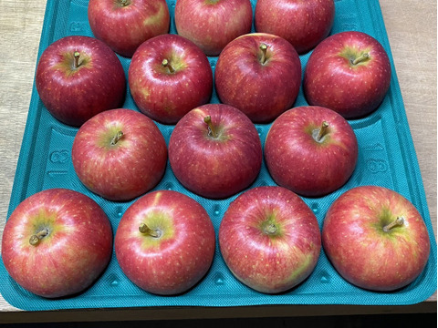 特別栽培りんご『千秋』A品・5㎏