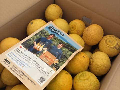 佐賀県太良町産はるか箱込7.5g【家庭用】