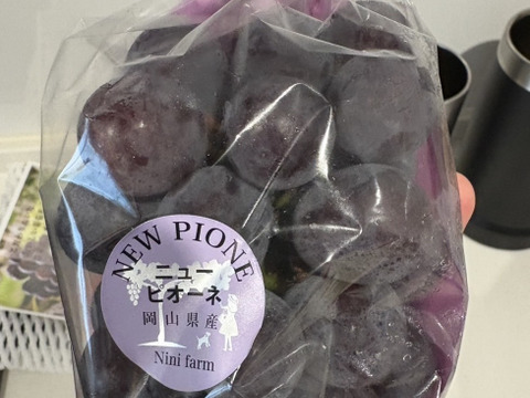 【数量限定】希少品種 富士の輝&シャインマスカット(約1.2kg) 岡山県産 秀品ランク(熨斗対応可) 【夏ギフト】