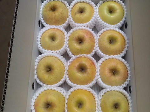 【りんご】幸せの黄色いりんご「はるか3ｋｇ」（フリーサイズ）