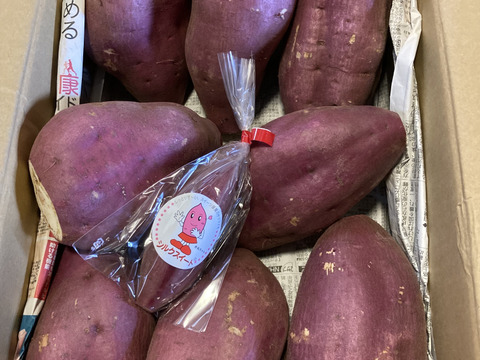 【訳あり】どすこいサイズ「ゆきこまち」  5キロ箱