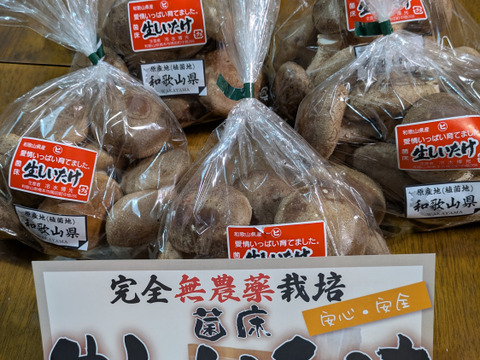 菌床生しいたけ！小さくても美味しい１㎏