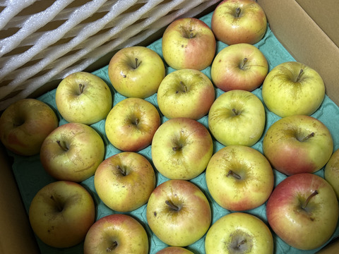 【数量限定・小玉のみ】青森県産りんご「ぐんま名月」家庭用 キズ有 約5kg 【光センサー選果】