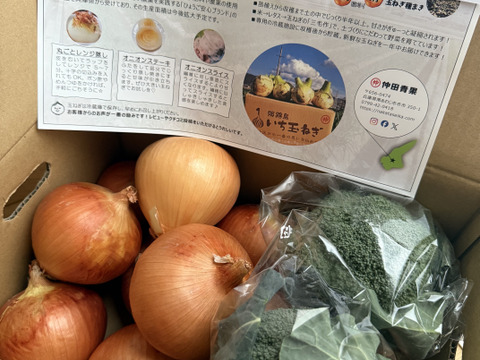 淡路島玉ねぎ紐付き10kg2箱セット農家直送南あわじ JAあわじ島 ほんまもん淡路島たまねぎ （約10kg） ～自然乾燥で