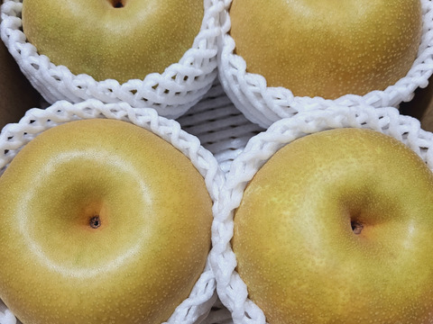 樹上完熟和梨「幸水」2kg【クール便】