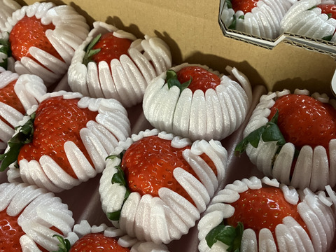 【数量限定】大きすぎてゴメンなさい！不揃いイチゴ