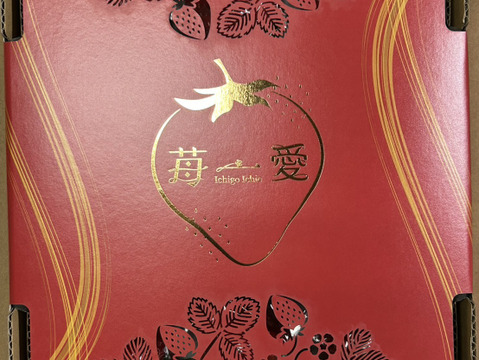 熊本県産いちご　さがほのか贈答用450g