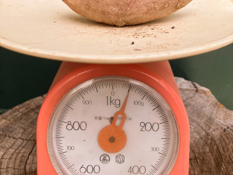 自然栽培〈ミニべにはるか〉大分県産さつまいも サイズ混合5kg