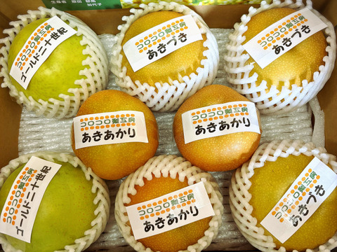 【旬の梨食べ比べ‼️3～5品種】何が届くかお楽しみ😋贈答用2.5kg以上、豊水・あきづき・かおり・あきあかり・二十世紀・南水・にっこり・新高・王秋・新興・愛宕の中から3品種以上詰め合わせます‼️