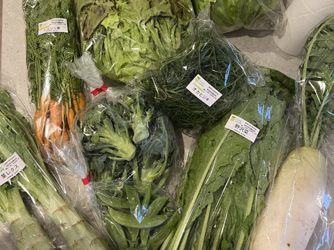 信州春野菜セット【10品目】