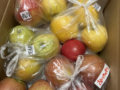 今季最終プライスダウン加工用シワシワりんごも入ります🍎10㌔サンふじ大玉中玉