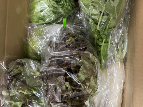 淡路島　野菜セット