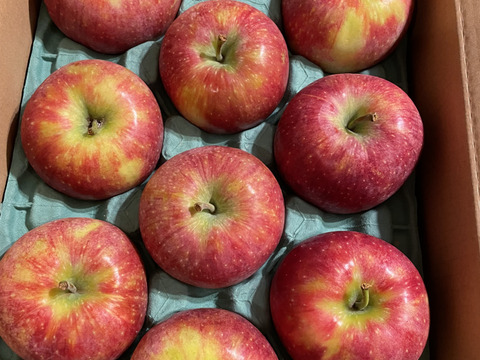 発送中🍎【人気上昇中 幻の夏りんご🍎】シナノリップ3キロ箱 6玉〜15玉サイズ 商品ID41076 長野県 信州 安曇野 リンゴ 幻 幻のリンゴ 予約 希少 旬