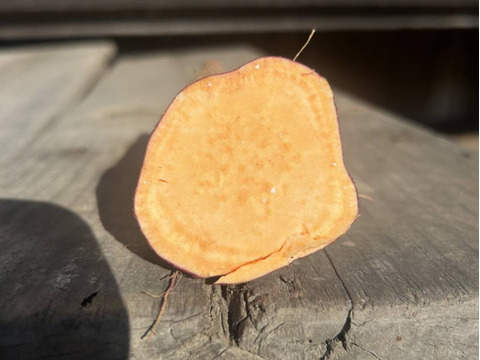 有機JAS 南阿蘇産さつまいも 乙男が育てたサツマイモの7種食べ比べセット（10kg）