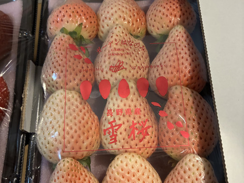 濃厚な甘さ！長野県産『真紅の美鈴』&『雪桜』各280g