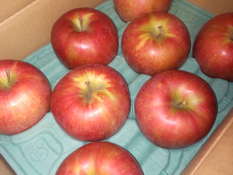 【甘いりんご解禁です🍎】 シナノスイート 3キロ箱 6玉〜15玉サイズ ID42539  甘い 長野県 信州 安曇野 リンゴ 幻 幻のリンゴ 予約 希少 旬