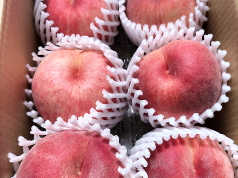 お試しサイズ♡ピーチ姫♡陽夏妃♡山形県産もも♡桃