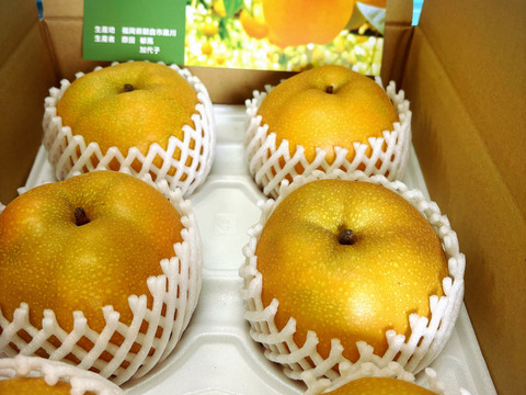 超希少品種✨️とにかく甘い‼️PREMIUMあきあかり梨】贈答用約3.0kg（4