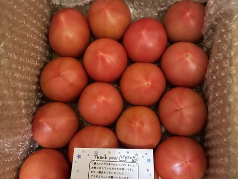 規格外小さめ★80サイズ箱詰め合わせ