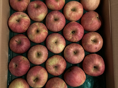 すぐ発送！農薬半減栽培葉取らず樹上完熟サンふじ10キロ32-46家庭用　蜜入りもあり❣️　りんご