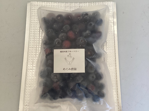 【農薬不使用】お得な中粒！ブルーベリー　冷凍 500g