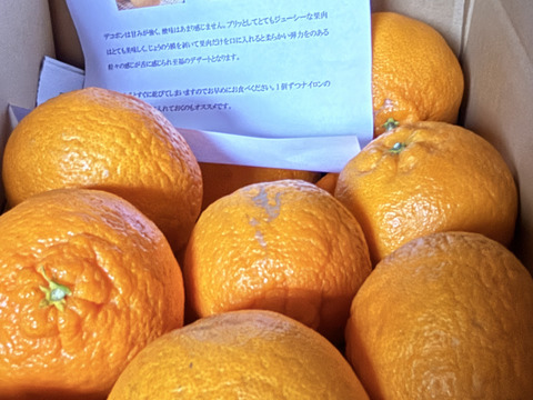 【味に自信あり】■5k箱■愛媛のせとか■家庭用■除草剤使用なし　万田酵素散布■◯ 味に自信あり】□3k箱□愛媛の不知火□家庭用□除草剤使用無 万田酵素