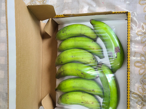 有機ほ場・自然栽培　徳之島産『百歳島バナナ』6～8本　　（約800g）皮ごと「バーベキュー」「レンジでチン」で　　絶品スイーツに変身！