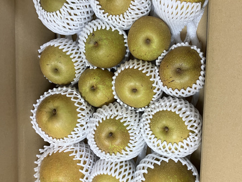 【訳あり】梨新品種「甘太」約5.5kg