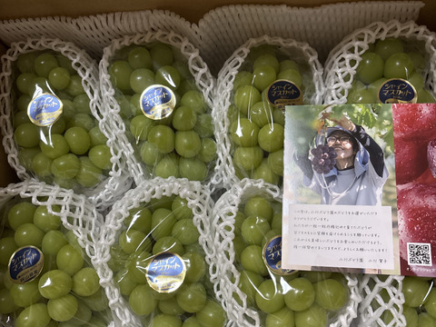 【残りわずか】岡山産シャインマスカット 5kg｜ファミリーで楽しめる皮ごと食べられる甘くてジューシーな大粒・種なしぶどう！